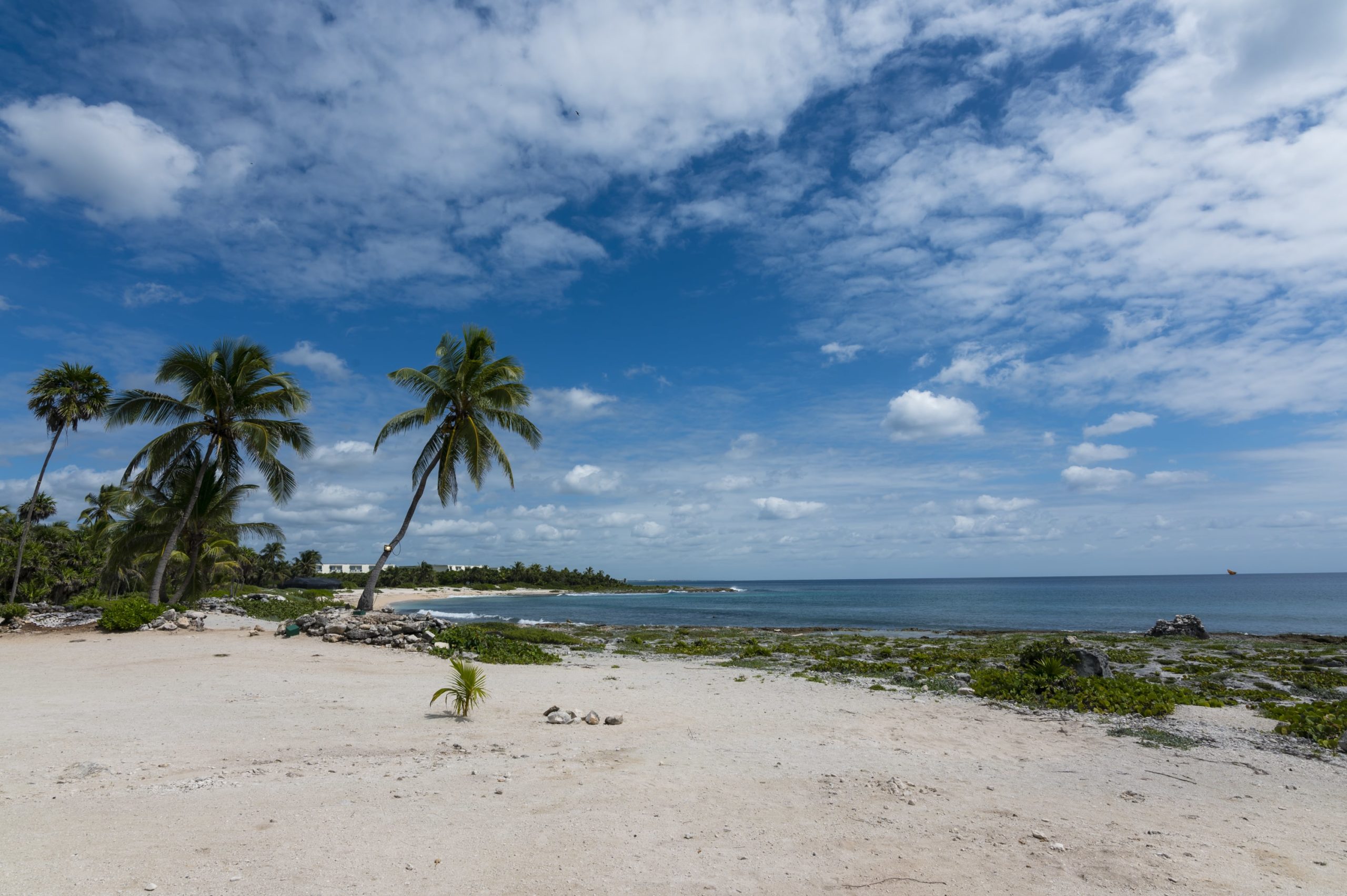 akumal condos zamira penthouse playa