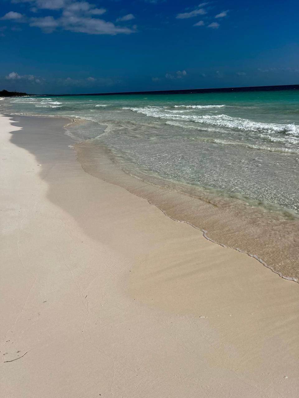 terreno en tulum frente al mar playa lote en tulum con playa terreno en la playa con mar cristalino