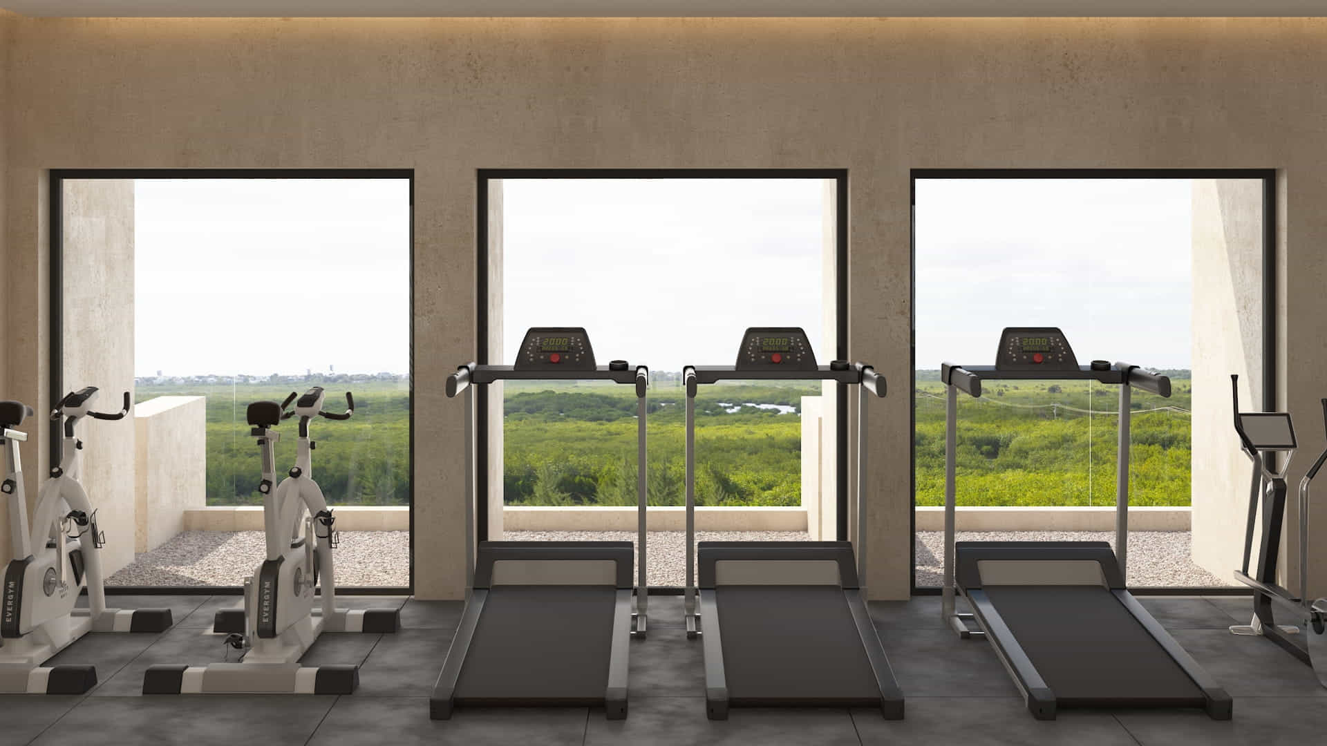 real estate puerto morelos piedra de mar gym 2