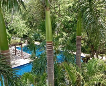 condo for sale in playacar vaiven del viento amplios y exuberantes jardines rodean las amenidades exteriores