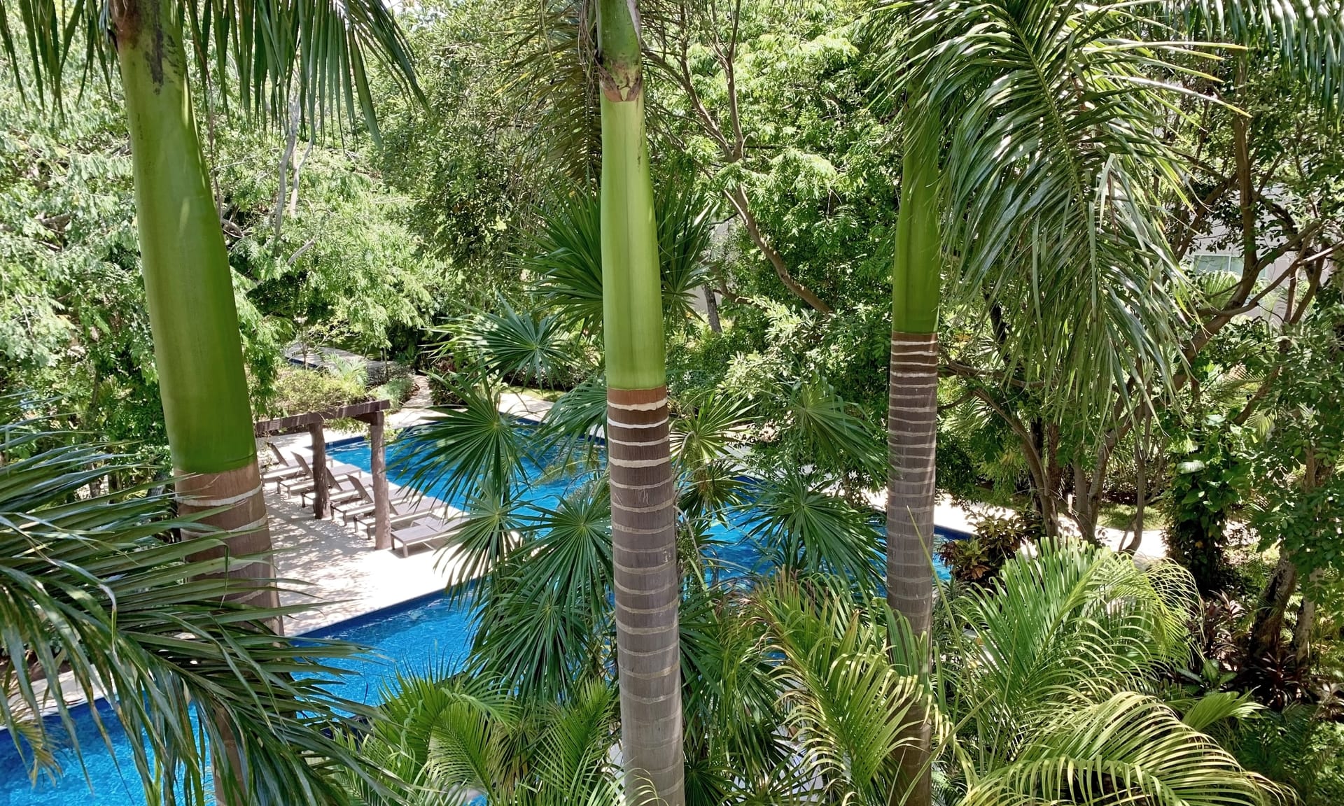 condo for sale in playacar vaiven del viento amplios y exuberantes jardines rodean las amenidades exteriores