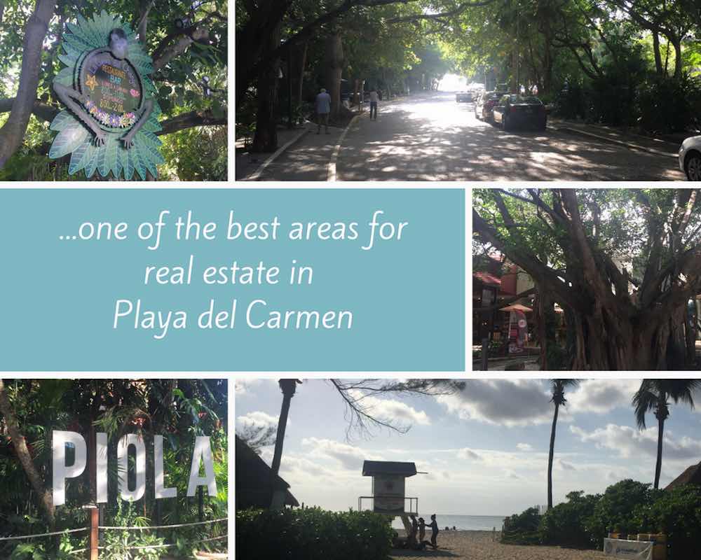 calle 38 the best place for playa del carmen real estate