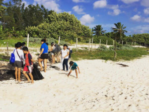 real estate in playa del carmen beach team work