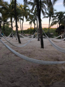 real estate playa del carmen hammocks