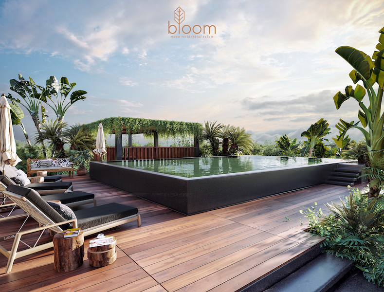 c tulum real estate bloom rooftop pool