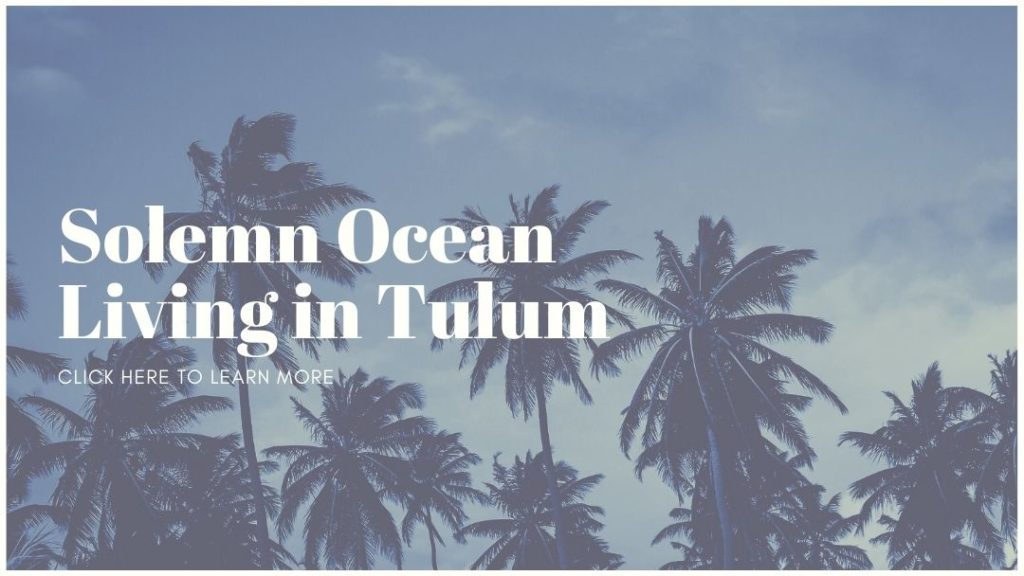 Sustainable projects in Tulum