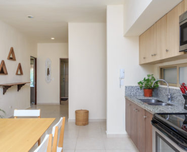 f tulum penthouses for sale ph natura kitchen
