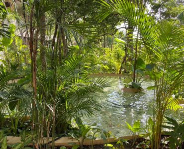 o new project in aldea zama premium tropical pool