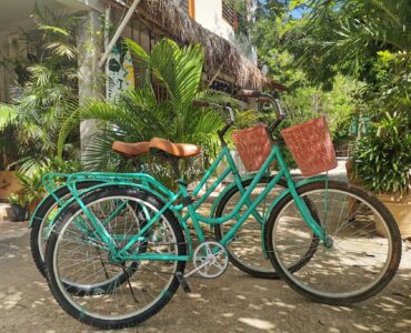long term rentals tulum jungle breeze bikes