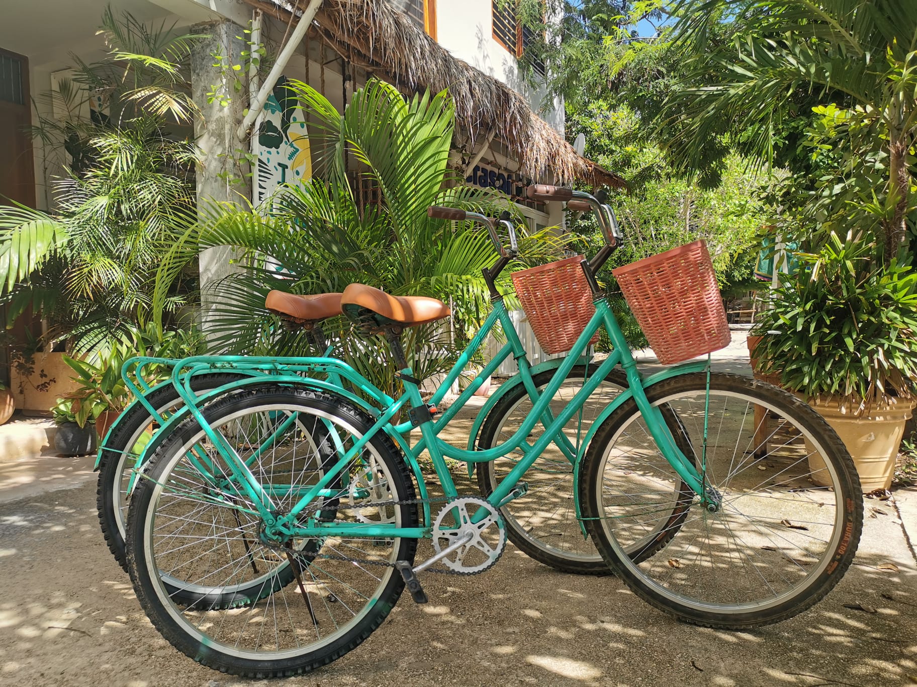 long term rentals tulum jungle breeze bikes