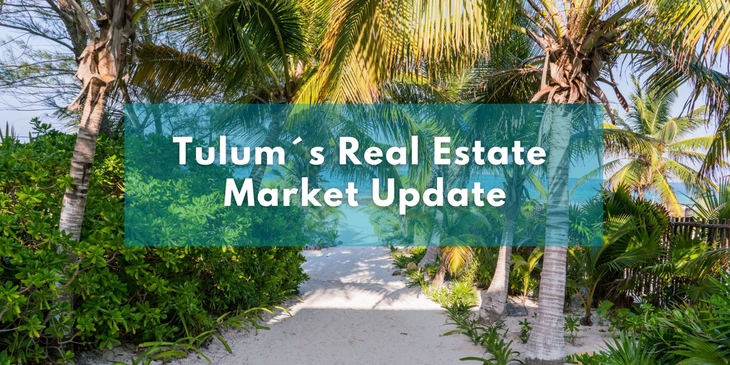 Discover the Growth of Tulum's Real Estate Market and How You Can Be a 