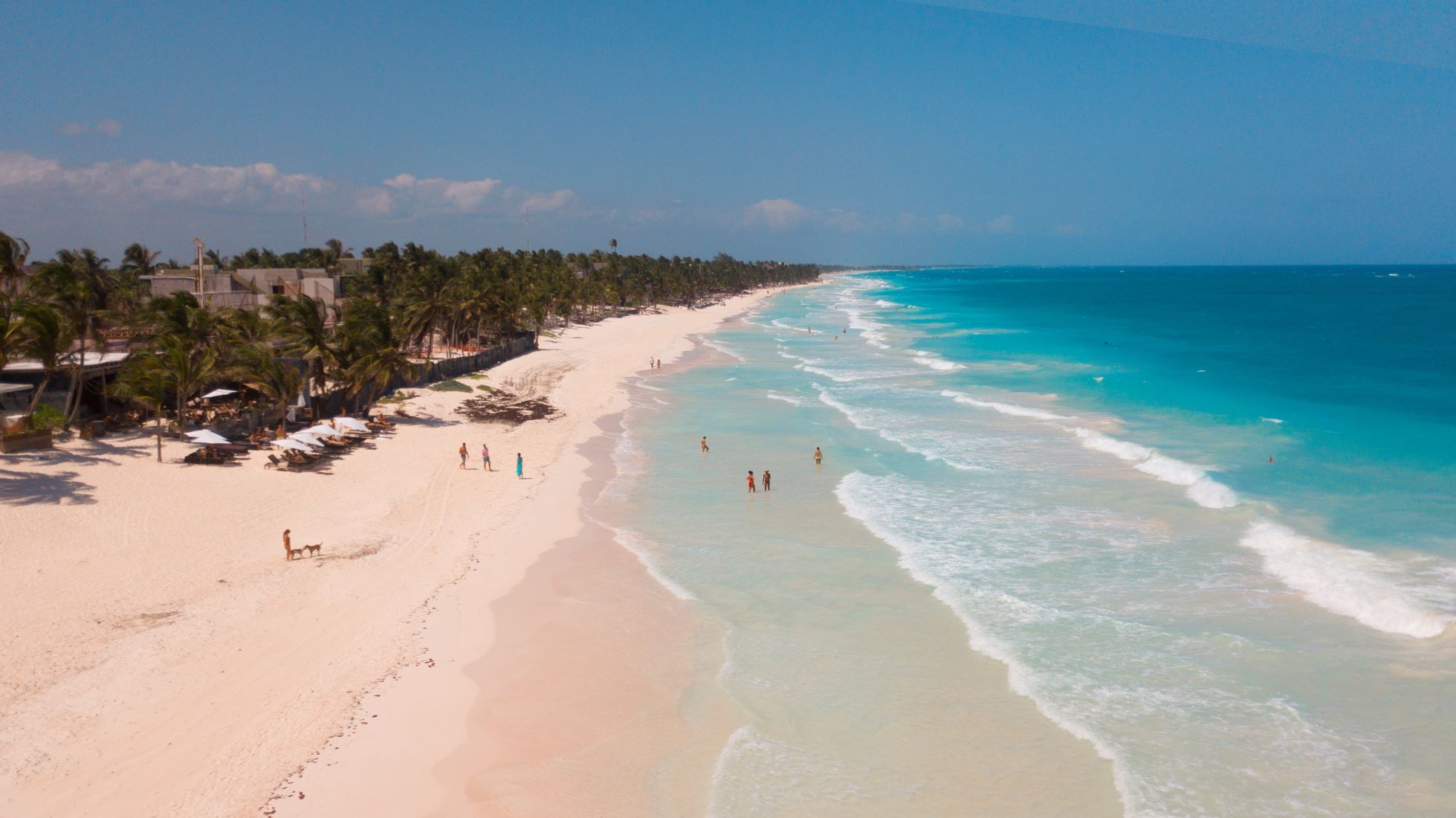 tulum beachfront for sale land for sale in tulum lot for sale land tulum beautiful beach