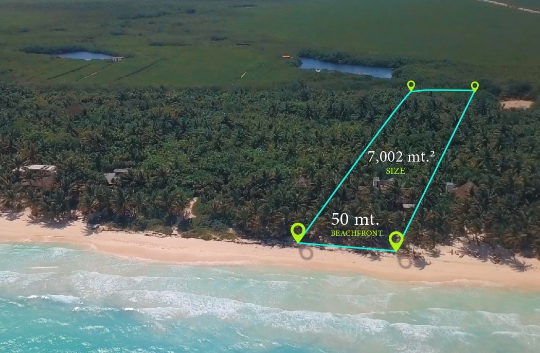 tulum beachfront for sale land for sale in tulum lot for sale land tulum land with beach access