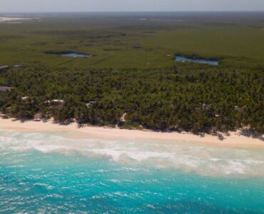 tulum beachfront for sale land for sale in tulum lot for sale land tulum sea and palm trees