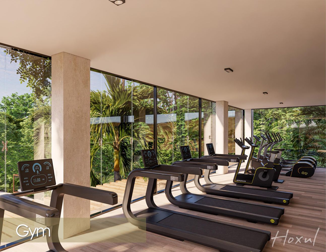 real estate for sale in playa del carmen hoxul gym