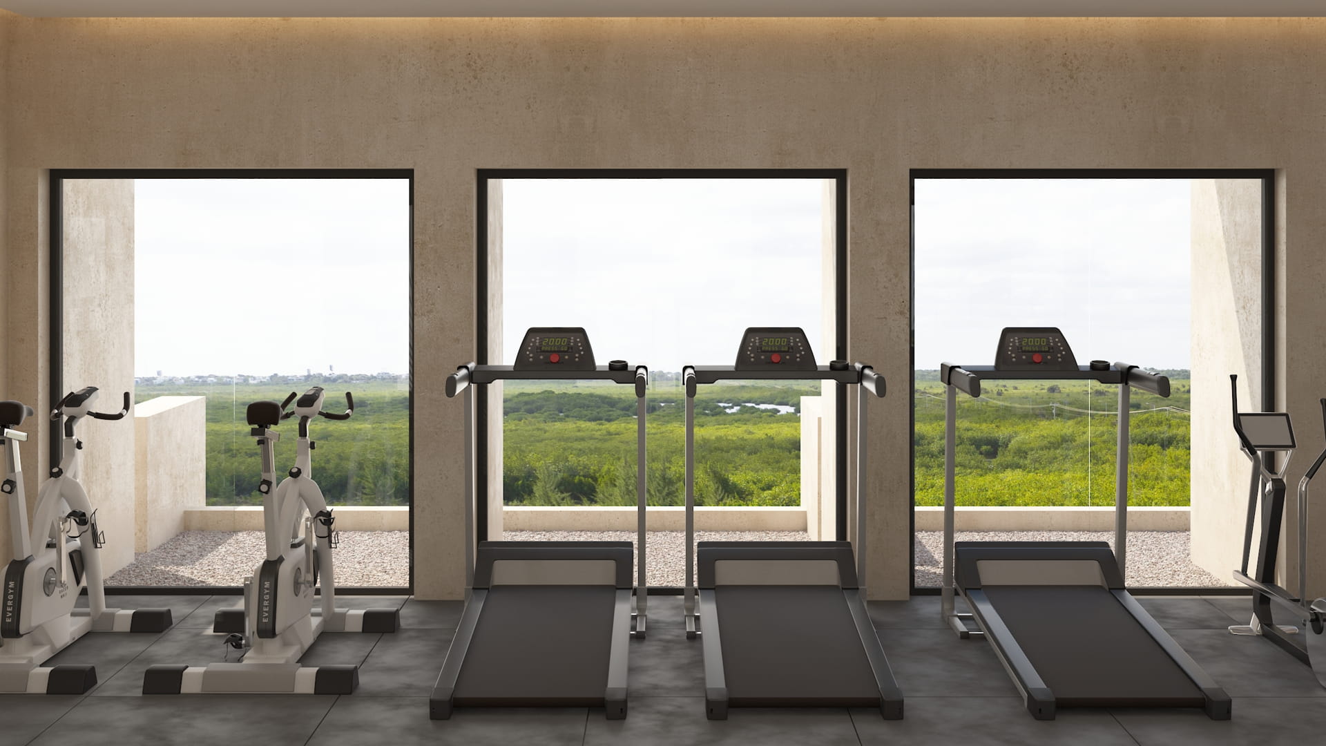 real estate puerto morelos piedra de mar gym 2